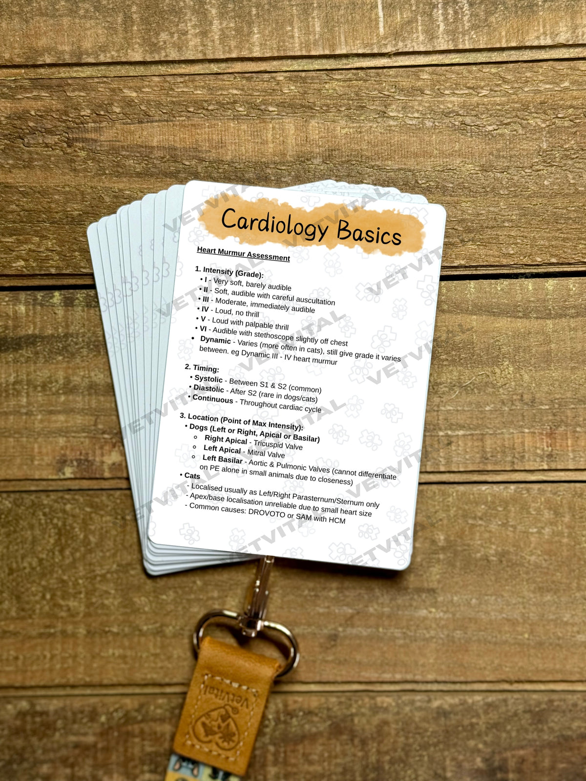 Small Animal Cardiology Basics Veterinary Reference Card
