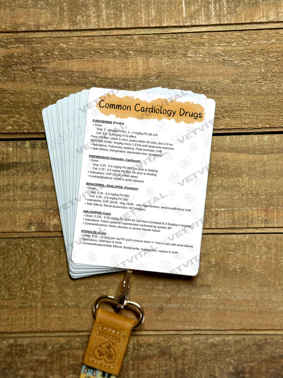 Cardiac Auscultation & Common Cardiology Drugs Veterinary Reference Card