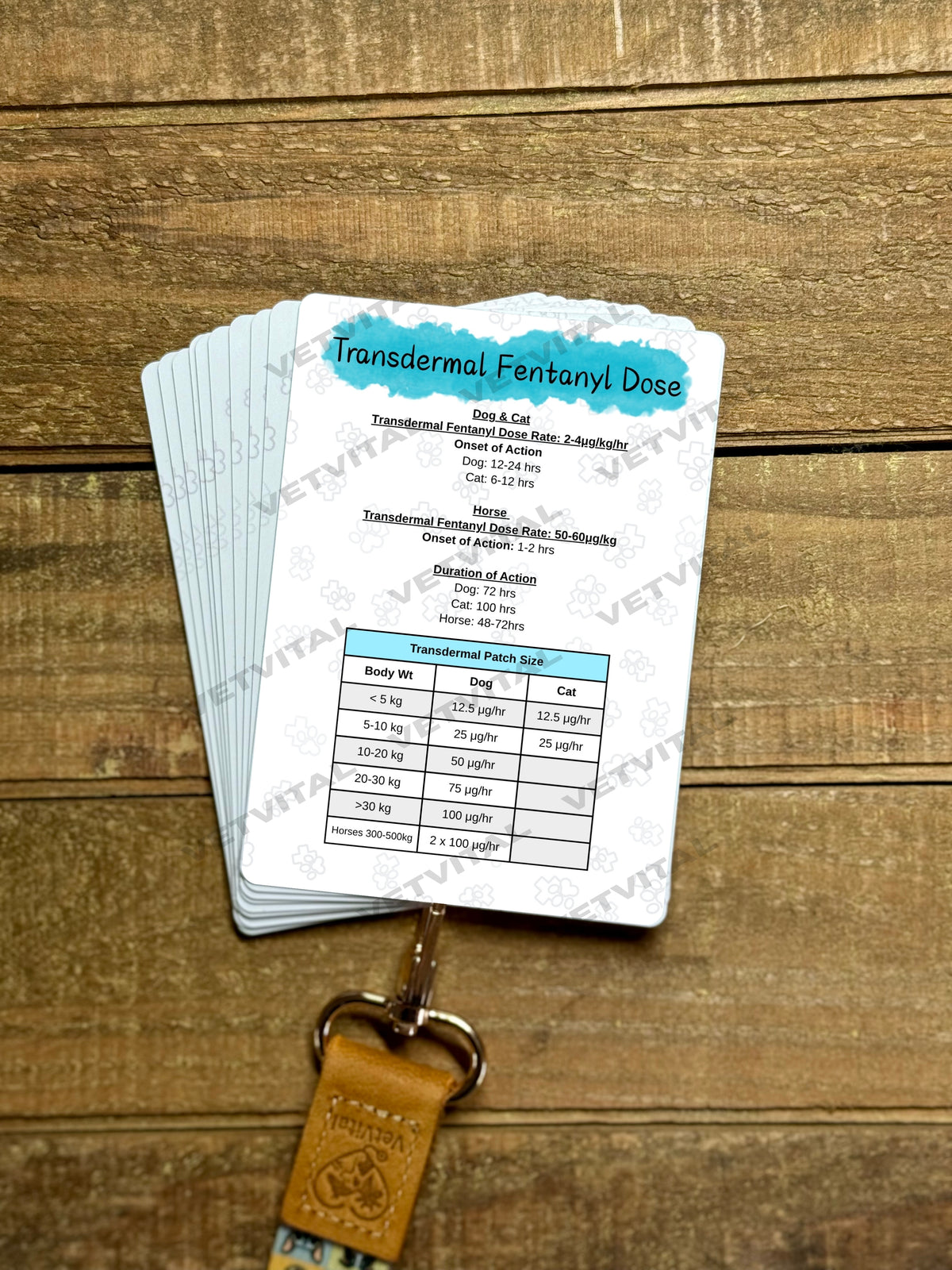 Bad Dog Cocktail & Transdermal Fentanyl Veterinary Reference Card