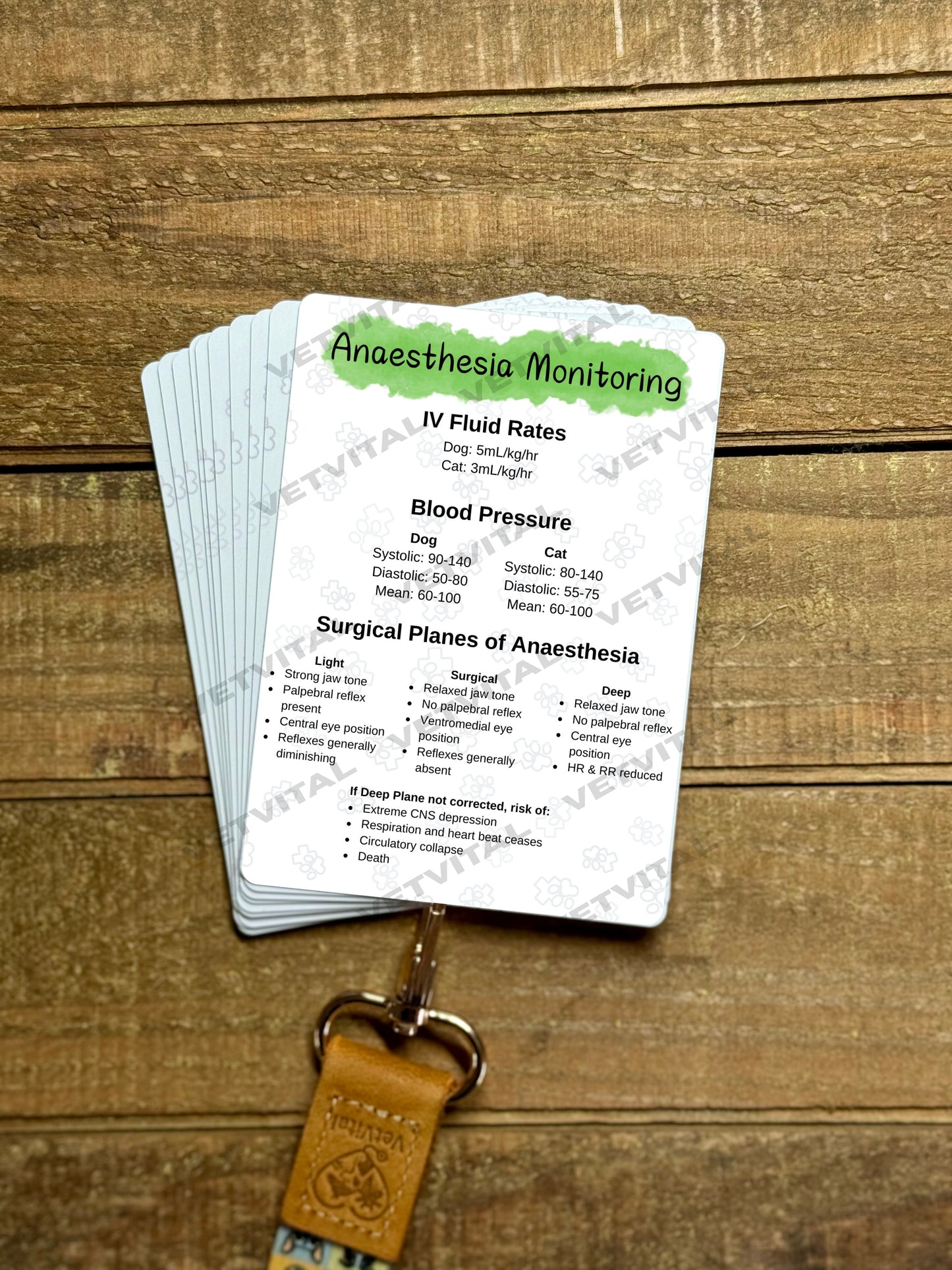 VetVital Individual Cards