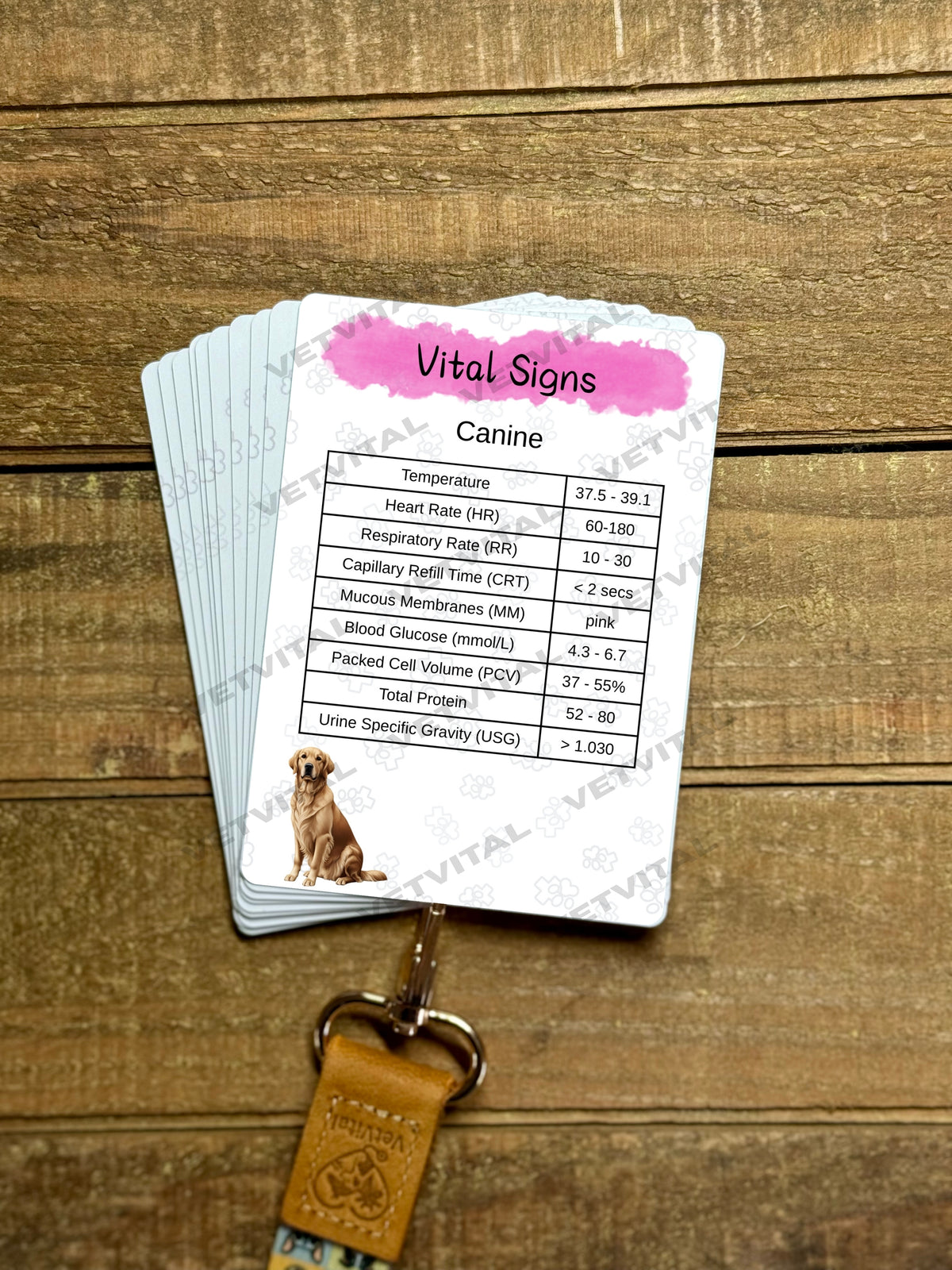 Canine & Feline Vital Signs Veterinary Reference Card