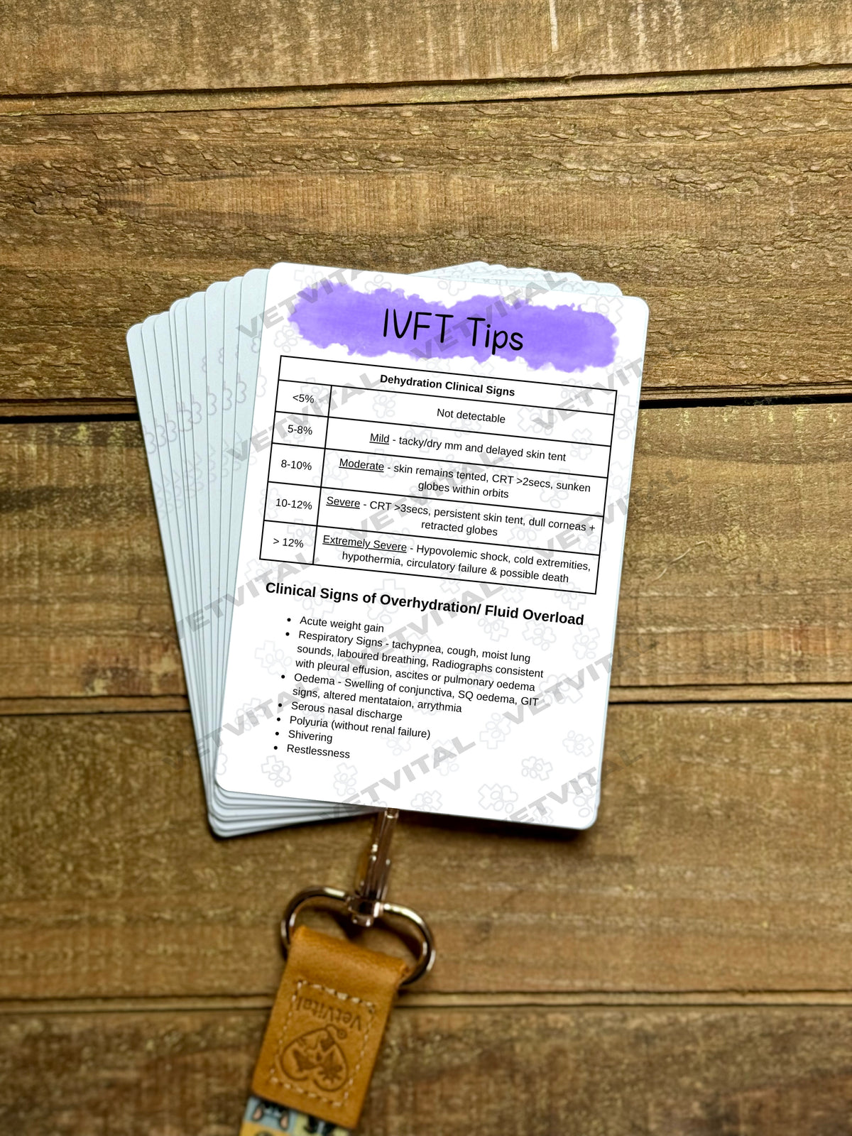 IV Fluid Therapy Veterinary Reference Card