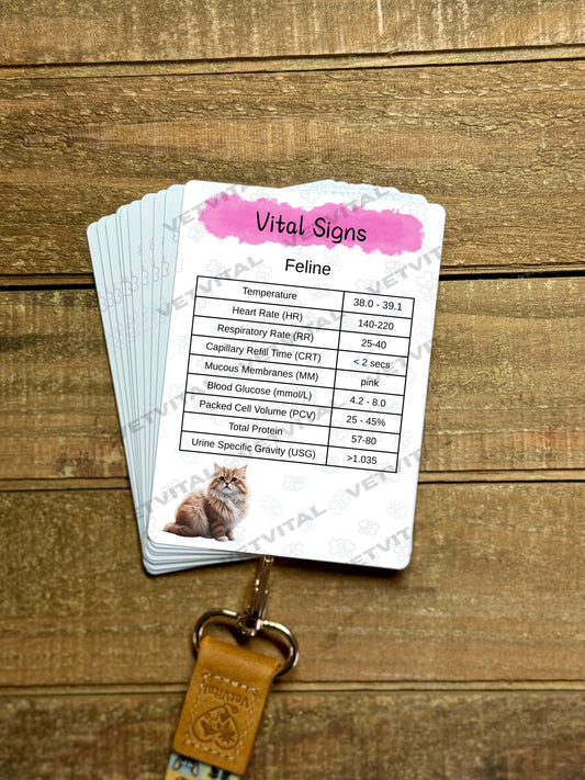 VetVital Small Animal Bundle