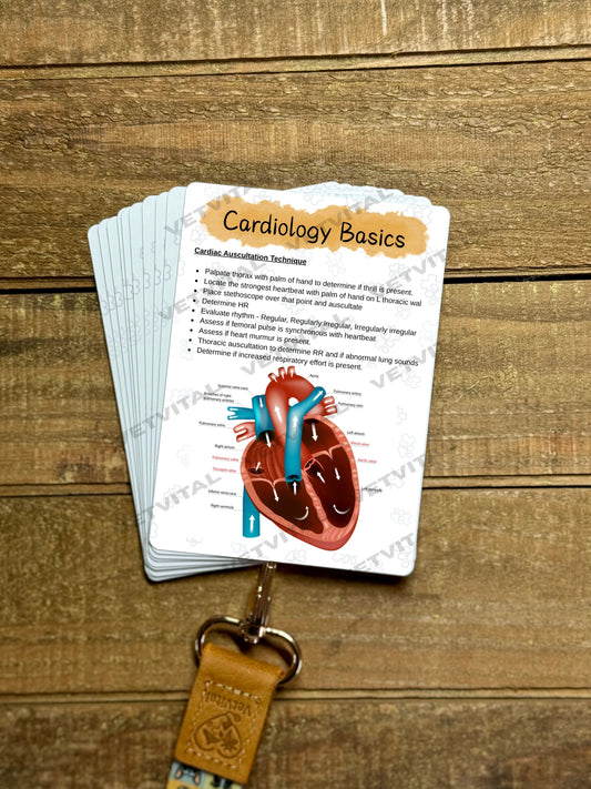 Cardiac Auscultation & Common Cardiology Drugs Veterinary Reference Card