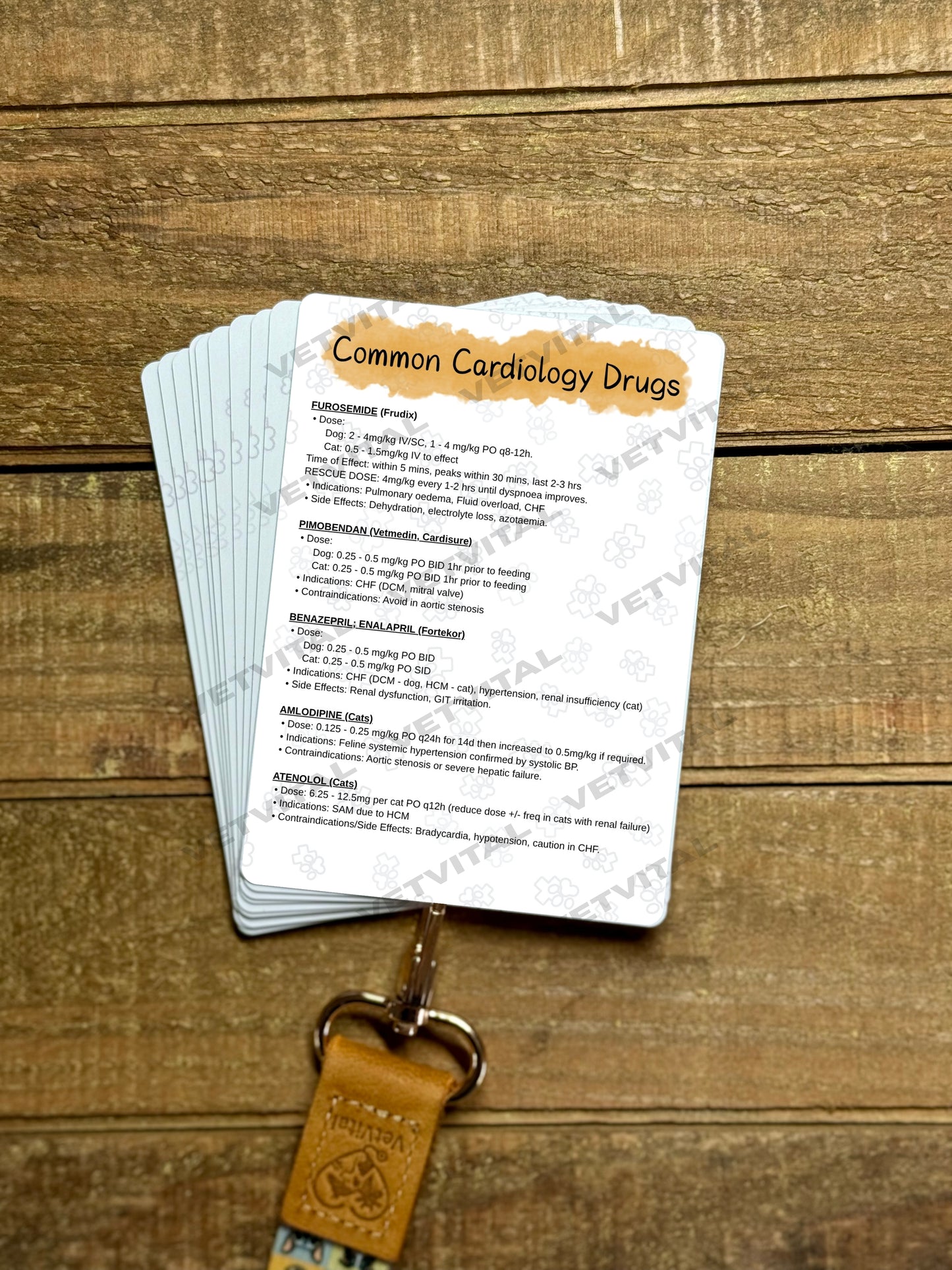 VetVital Individual Cards