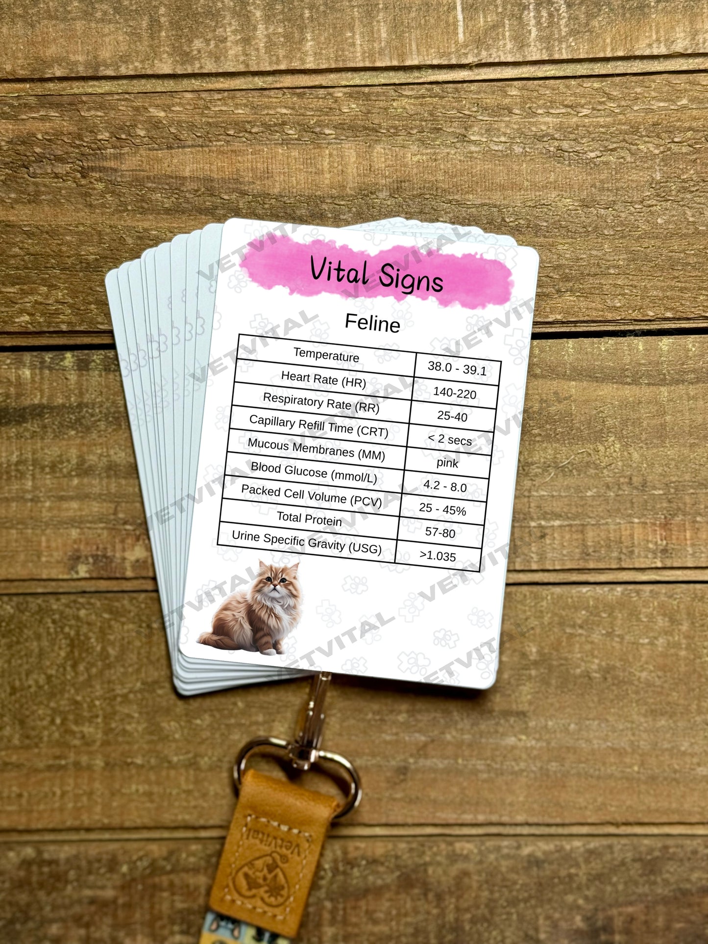 VetVital Individual Cards