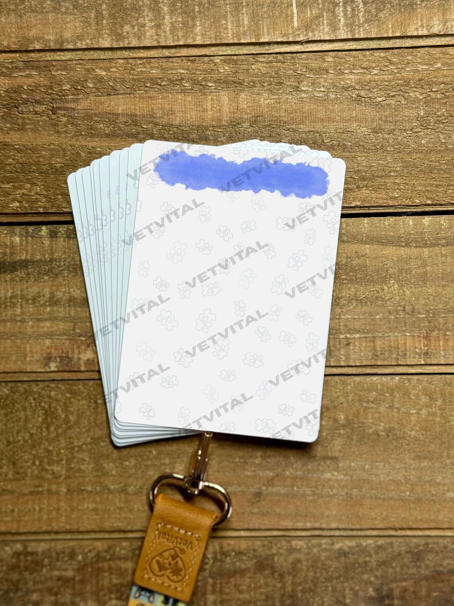 VetVital Blank Cards