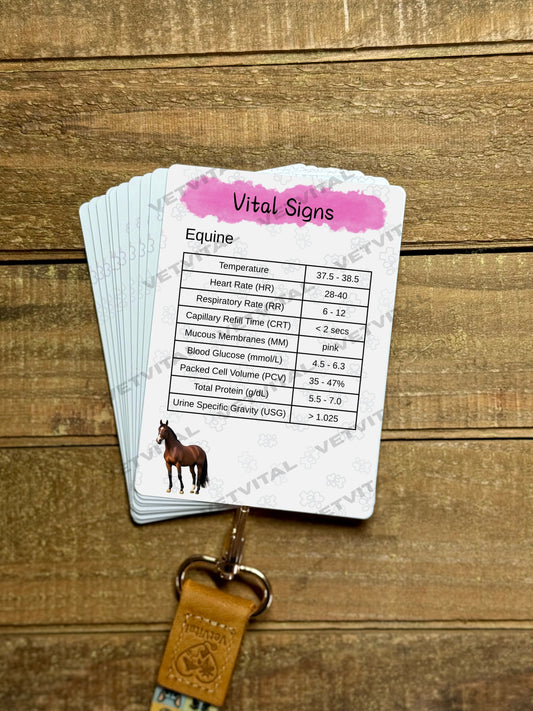 VetVital Large Animal Bundle