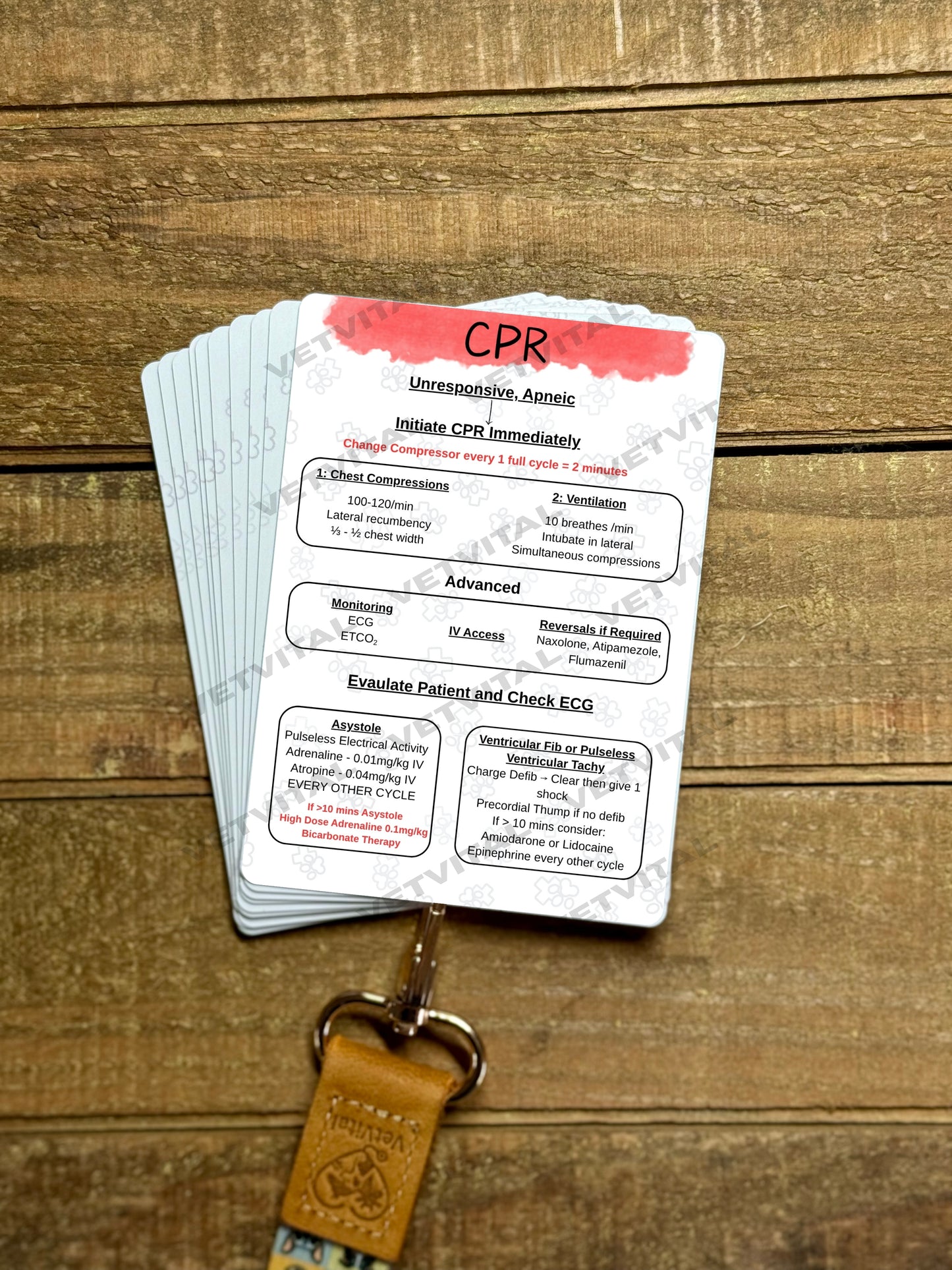 VetVital Individual Cards