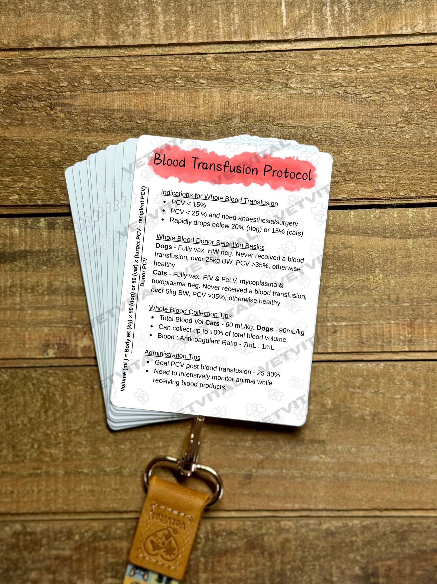 VetVital Individual Cards