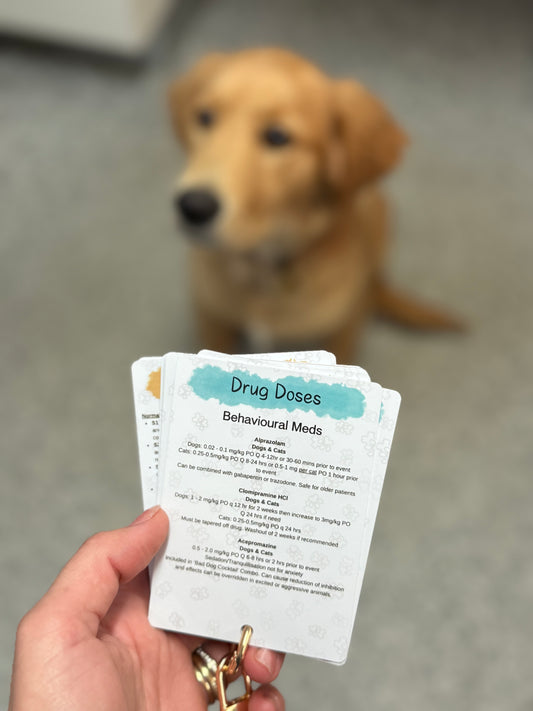 Small Animal Veterinary Reference Card Bundle